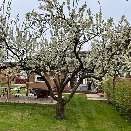 Apartmany U Lipy Tatobity Екстер'єр фото
