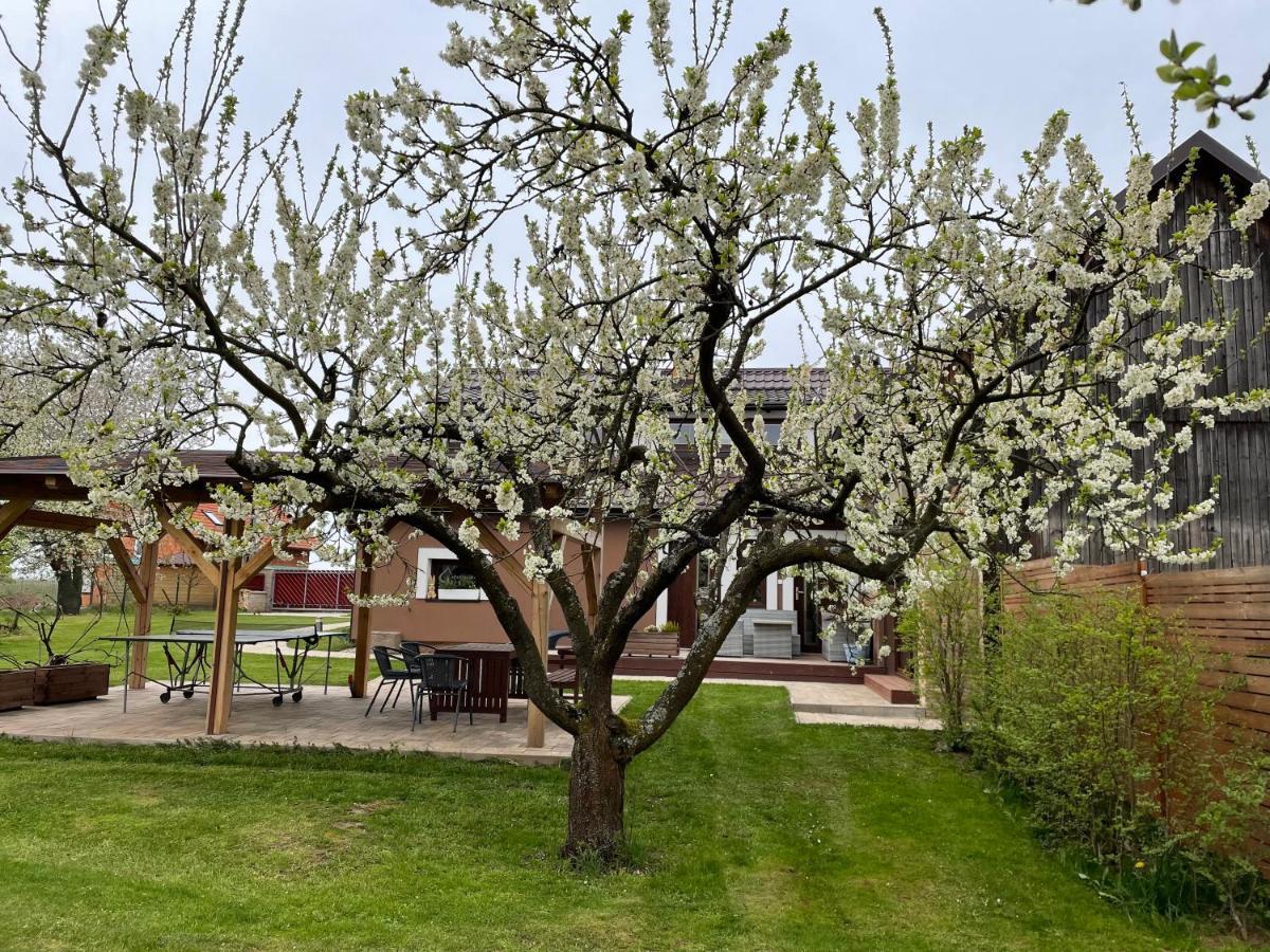 Apartmany U Lipy Tatobity Екстер'єр фото